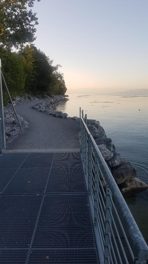 Ferienwohnung Fischbach FDH Kültér fotó